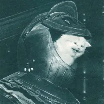 کاور Nocturne.