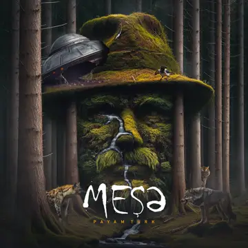 کاور Meşe