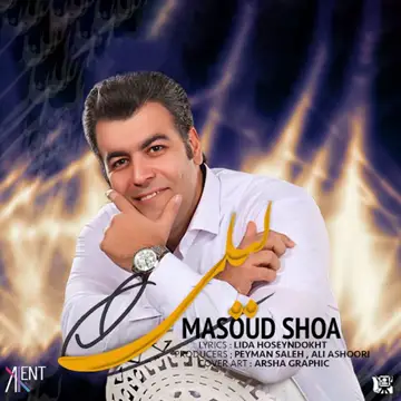 کاور آهنگ Leyli از Masoud Shoa