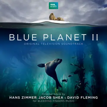 کاور آهنگ Surfing Dolphins از هانس زیمر