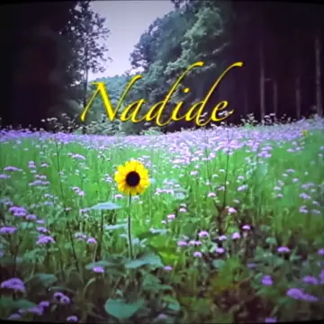 کاور Nadide - Single
