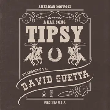 کاور آهنگ A Bar Song (Tipsy) [Remix} از Shaboozey، David Guetta