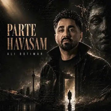 کاور آهنگ Parte Havasam از Ali Botimar