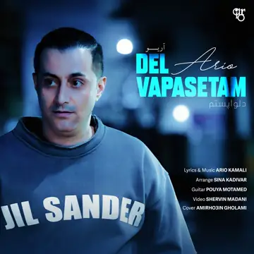 کاور آهنگ Delvapasetam از Ario
