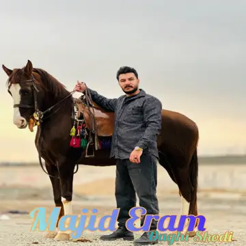 کاور Daghi Shodi - Single