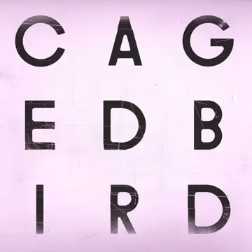 کاور آهنگ A Caged Bird/Imitations of Life از سینماتیک ارکسترا