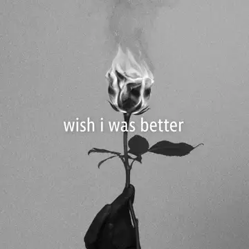 کاور Wish I Was Better - Single