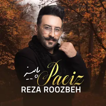 کاور Paeiz - Single