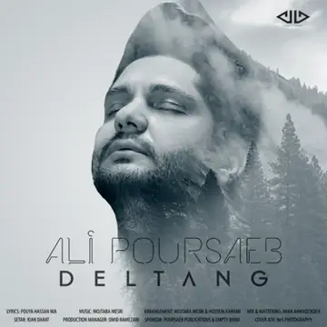 کاور Deltang - Single