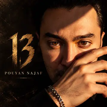 کاور 13