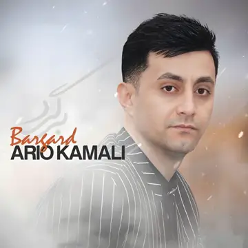 کاور Bargard - Single