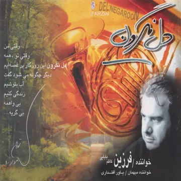کاور آهنگ Divooneh از Farzin