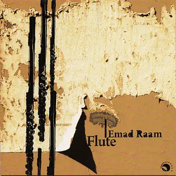 کاور آهنگ Dashti از Emad Raam