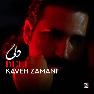 کاور آهنگ Deli از Kaveh Zamani