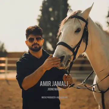 کاور Joone Mania - Single