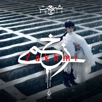 کاور آهنگ Zakhmi از Amir Shariat