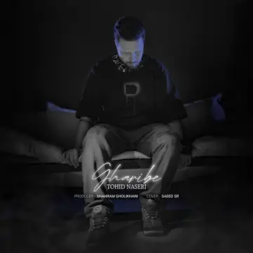 کاور Gharibe - Single