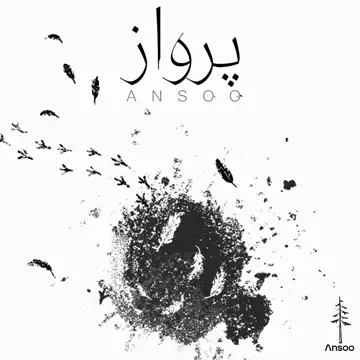 کاور آهنگ Parvaz از Ansoo