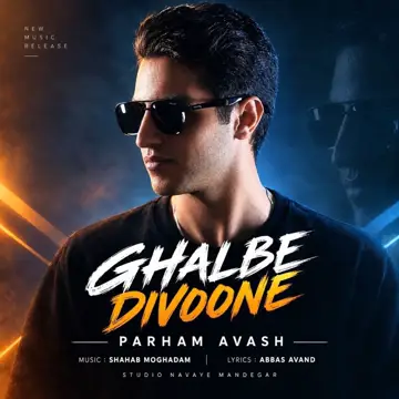 کاور Ghalbe Divoone - Single