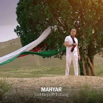 کاور آهنگ Gol Bejaye Tofang از Mahyar