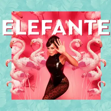 کاور آهنگ Elefante از NK