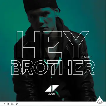کاور آهنگ Hey Brother (Extended Version) از آویچی