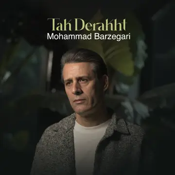 کاور آهنگ Tak Derakht از Mohammad Barzegari