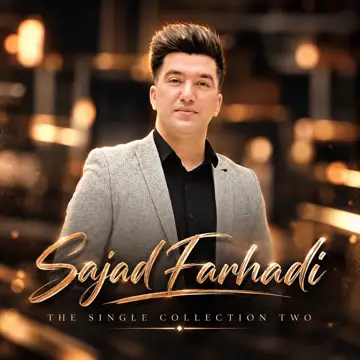 کاور The Single Collection Two