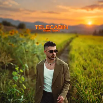 کاور Telecabin - Single