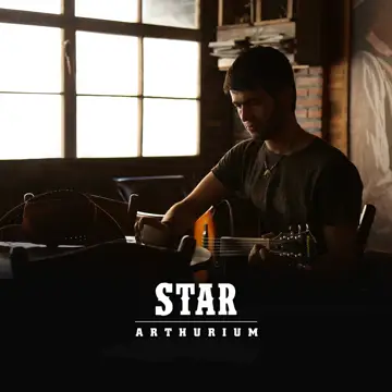کاور آهنگ Star از Arthurium