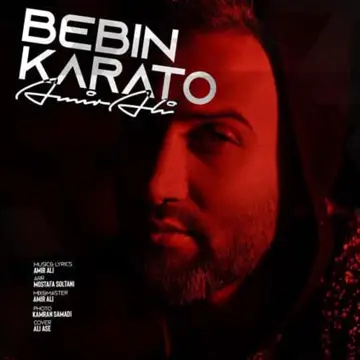 کاور Bebin Karato - Single
