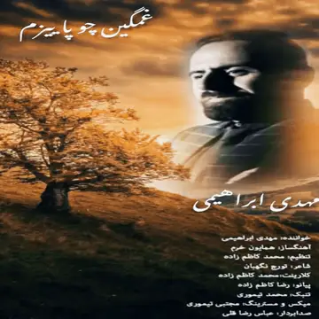 کاور آهنگ Ghamgin Cho Paeizam از زر امیرابراهیمی
