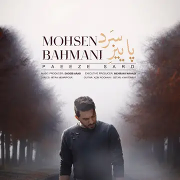 کاور Paeeze Sard - Single
