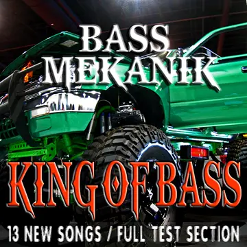 کاور آهنگ Long Way Down از Bass Mekanik
