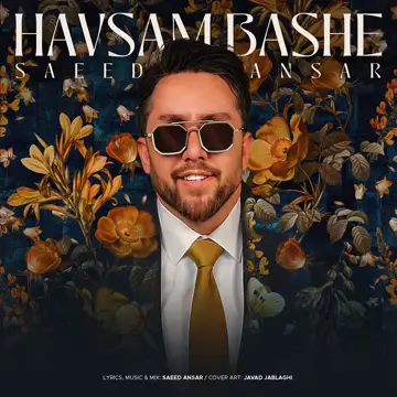کاور آهنگ Havasam Bashe از Saeed Ansar