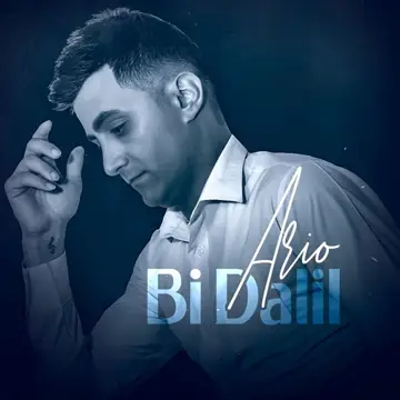 کاور آهنگ Bi Dalil از Ario Kamali