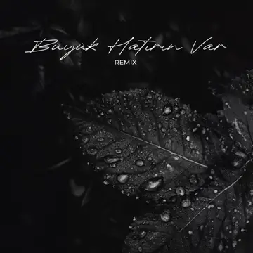 کاور آهنگ Büyük Hatırın Var (Remix) از گلشن