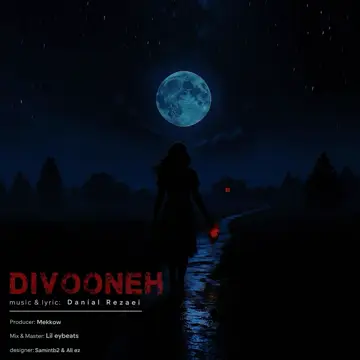 کاور آهنگ Divooneh از دانیال صالحی مهر