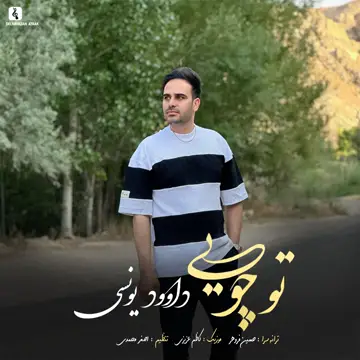 کاور آهنگ To Choyi از Davood Younesi