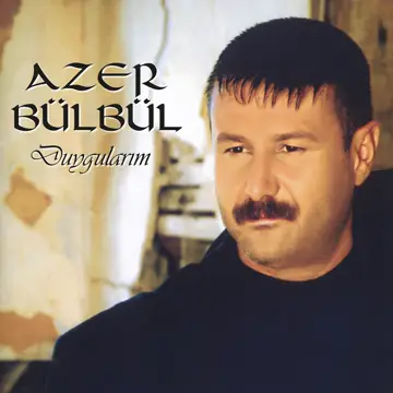 کاور Duygularım