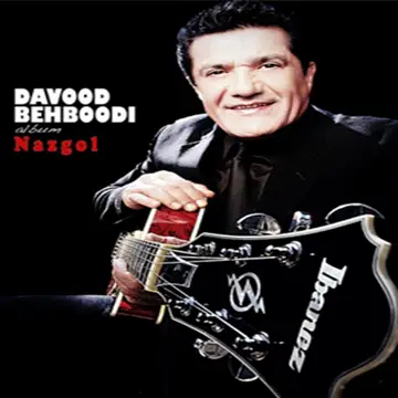 کاور آهنگ Roya از Davood Behboodi