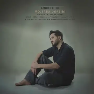 کاور آهنگ Zanooye Gham از Mojtaba Dorbidi