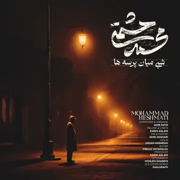 کاور Shabi Miane Parseha - Single
