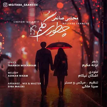 کاور Chetori Golam - Single