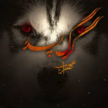 کاور Gorg Pedar - Single
