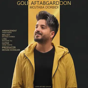 کاور آهنگ Gole Aftabgardoon از Mojtaba Dorbidi