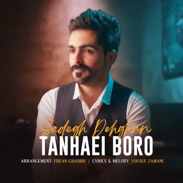 کاور آهنگ Tanhaei Boro از حسین دهقان