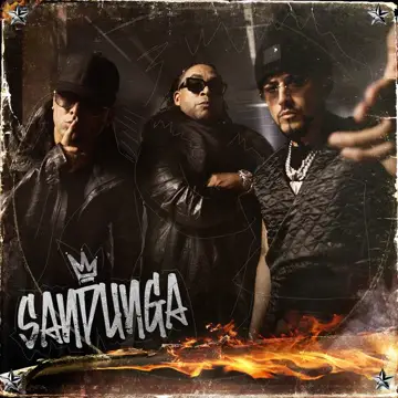 کاور SANDUNGA - Single