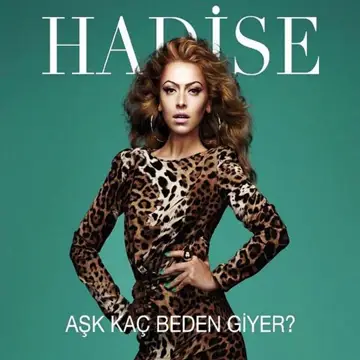 کاور آهنگ Melek از حادثه