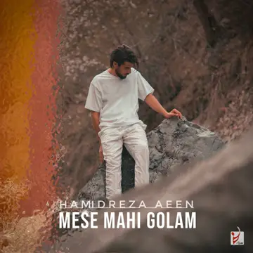 کاور آهنگ Mese Mahi Golam از Hamidreza Aeen